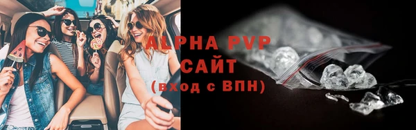 трава Белокуриха