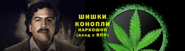 трава Белокуриха