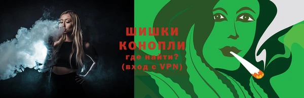 трава Белокуриха