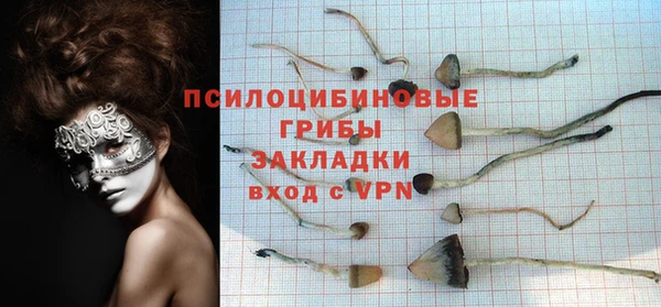 трава Белокуриха
