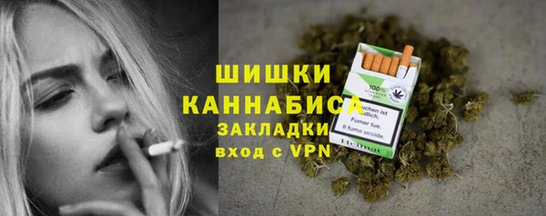 трава Белокуриха